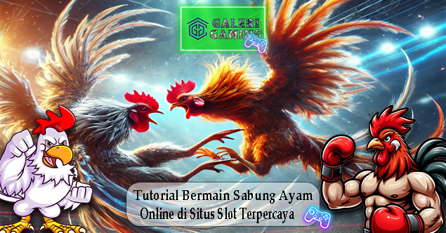 Tutorial Bermain Sabung Ayam Online di Situs Slot Terpercaya