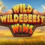 Menjelajahi Alam Liar di Slot Gacor Wild Wildebeest Wins!