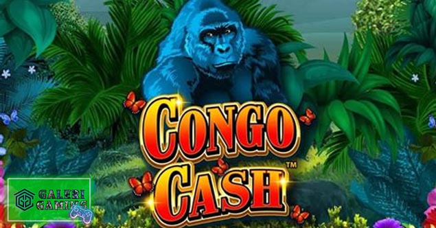 Congo Cash: Harta Karun Tersembunyi di Hutan Belantara!