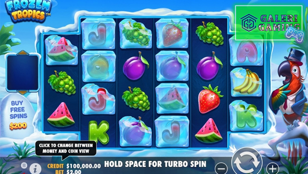 Slot Gacor Frozen Tropics: Kenapa Semua Orang Memainkannya?